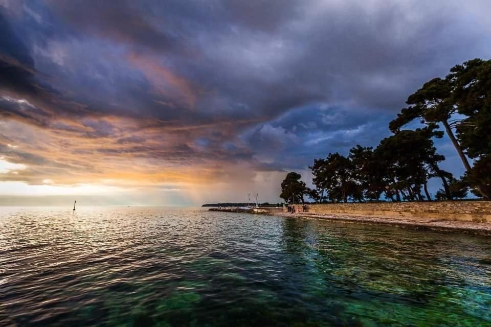 Apartments Reinic Novigrad Istria Buitenkant foto