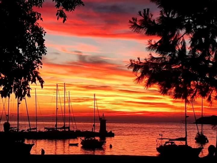 Apartments Reinic Novigrad Istria Buitenkant foto