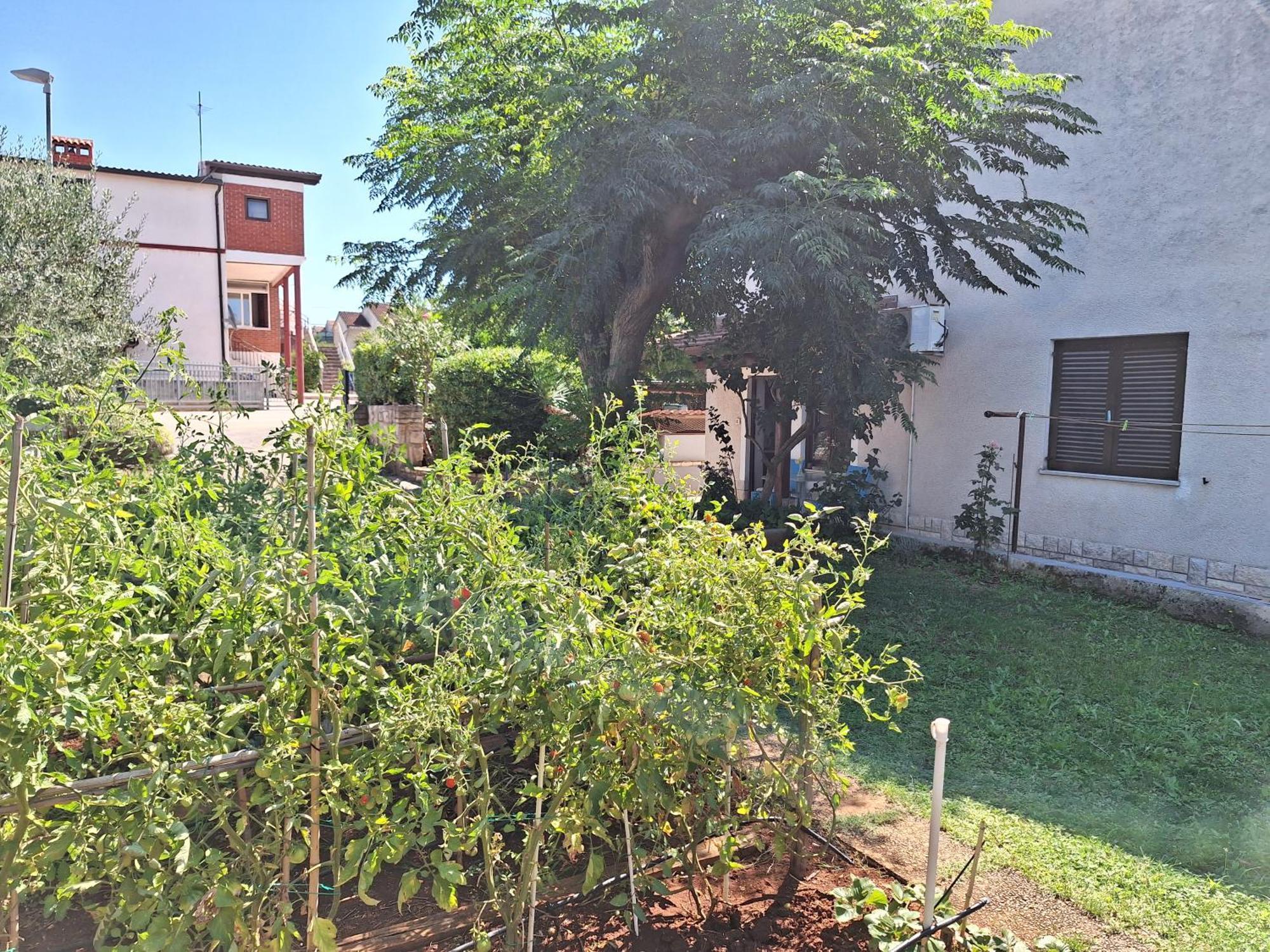 Apartments Reinic Novigrad Istria Buitenkant foto