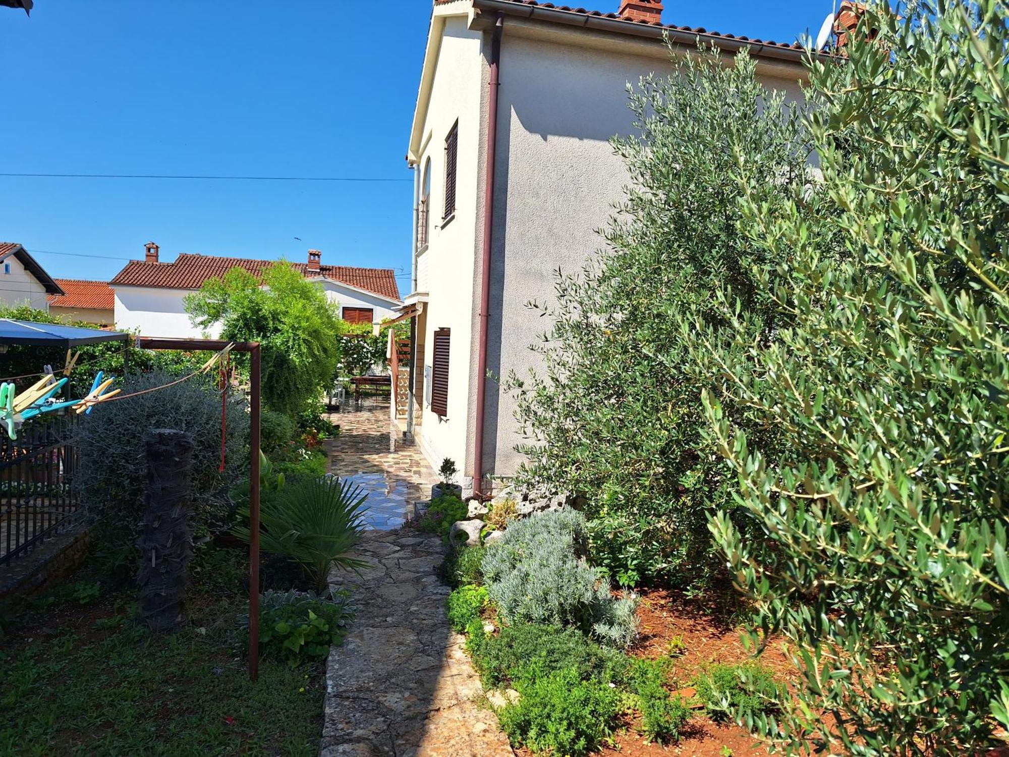 Apartments Reinic Novigrad Istria Buitenkant foto